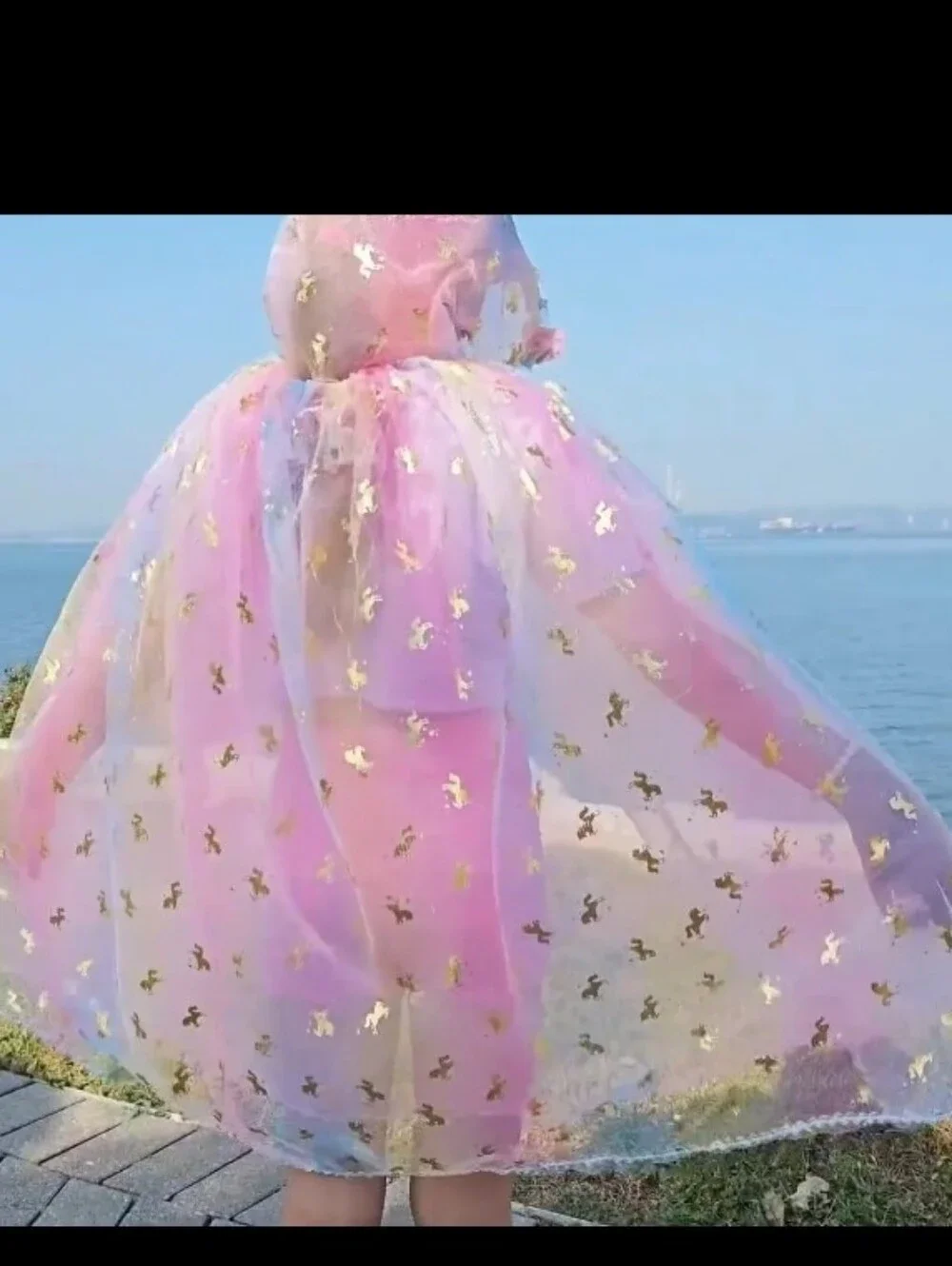 Unicorn cape magical pink